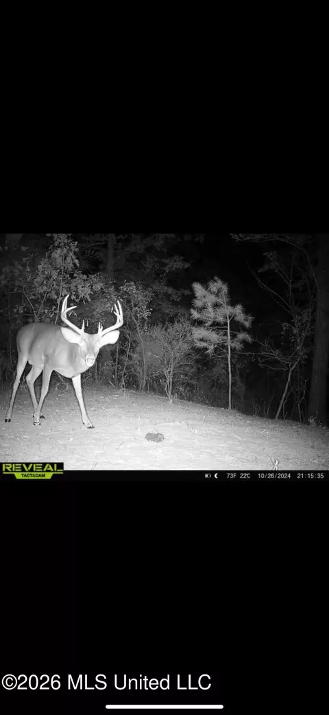 Other - 2112 Cleary Rd, Florence, MS 39073 photo 17 of 23