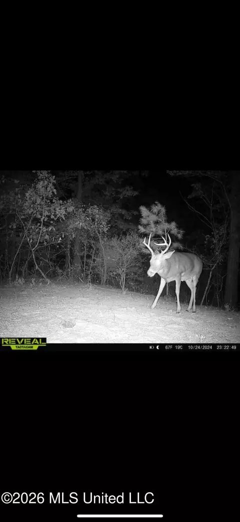 Other - 2112 Cleary Rd, Florence, MS 39073 photo 18 of 23