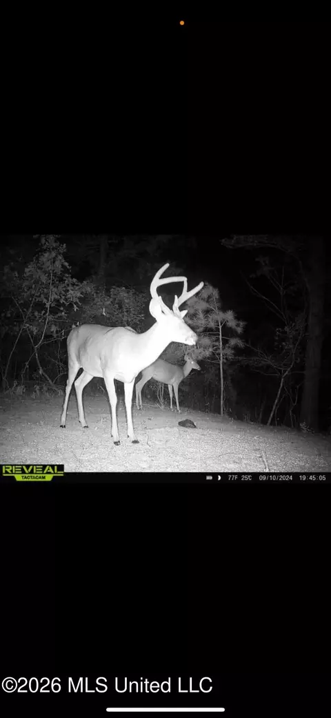 Other - 2112 Cleary Rd, Florence, MS 39073 photo 20 of 23