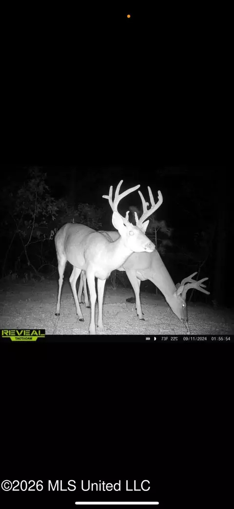 Other - 2112 Cleary Rd, Florence, MS 39073 photo 19 of 23
