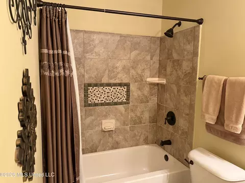 Bath - 253 Sunchase Dr, Brandon, MS 39042 photo 3 of 5
