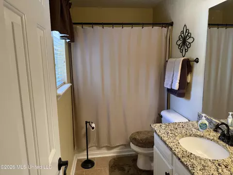 Bath - 253 Sunchase Dr, Brandon, MS 39042 photo 2 of 5