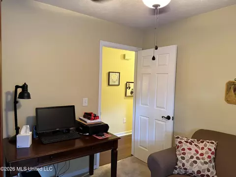 Other - 253 Sunchase Dr, Brandon, MS 39042 photo 3 of 9