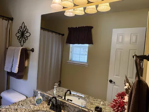 Bath - 253 Sunchase Dr, Brandon, MS 39042 photo 1 of 5