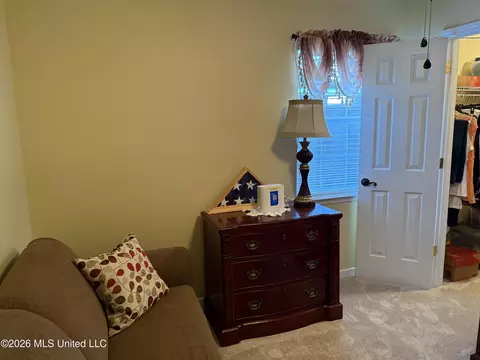 Other - 253 Sunchase Dr, Brandon, MS 39042 photo 2 of 9