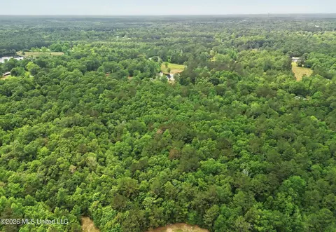 0 Henry House Rd, Saucier, MS 39574 photo 5