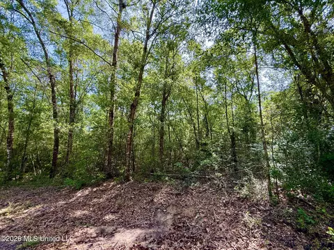 0 Henry House Rd, Saucier, MS 39574 photo 6