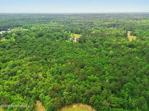 0 Henry House Rd, Saucier, MS 39574 photo 9