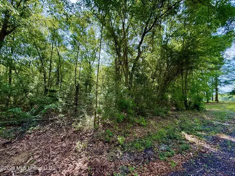 0 Henry House Rd, Saucier, MS 39574 photo 8