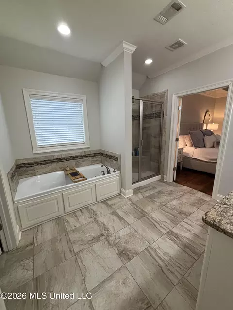 Bath - 320 Emerald Way, Brandon, MS 39047 photo 7 of 9