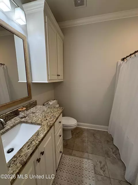 Bath - 320 Emerald Way, Brandon, MS 39047 photo 1 of 9