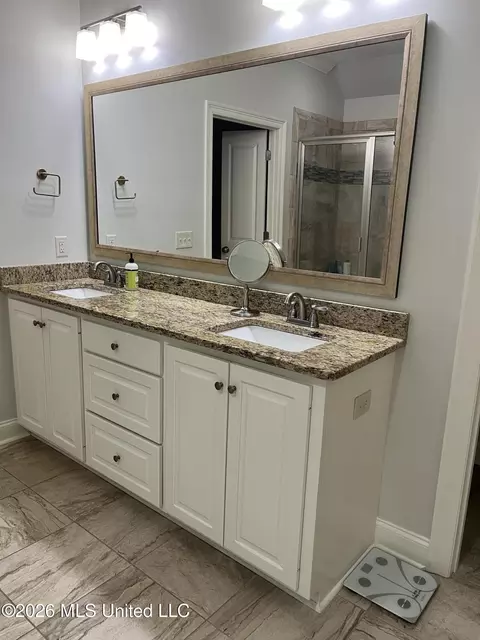 Bath - 320 Emerald Way, Brandon, MS 39047 photo 9 of 9
