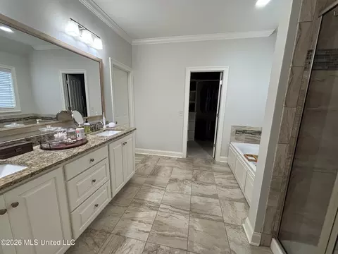 Bath - 320 Emerald Way, Brandon, MS 39047 photo 3 of 9