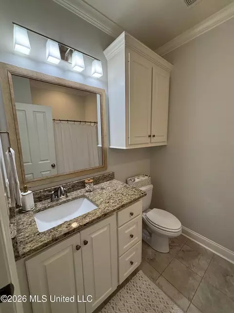 Bath - 320 Emerald Way, Brandon, MS 39047 photo 2 of 9