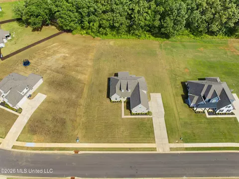 View/Area - 1441 Clair Cir, Hernando, MS 38632 photo 2 of 5