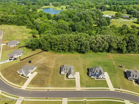 View/Area - 1441 Clair Cir, Hernando, MS 38632 photo 4 of 5