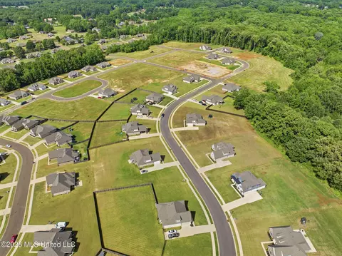 View/Area - 1441 Clair Cir, Hernando, MS 38632 photo 5 of 5