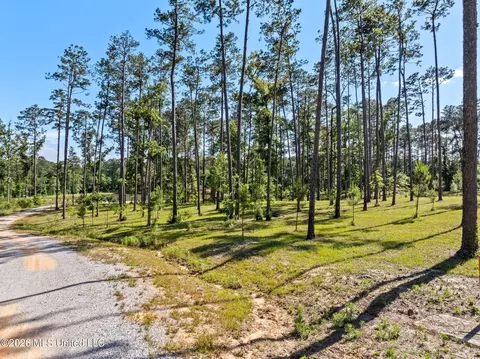 16 Placid Dr, Sumrall, MS 39482 photo 6