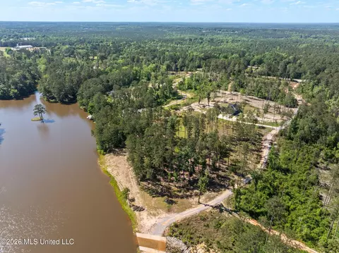16 Placid Dr, Sumrall, MS 39482 photo 9