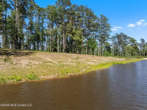 16 Placid Dr, Sumrall, MS 39482 photo 4