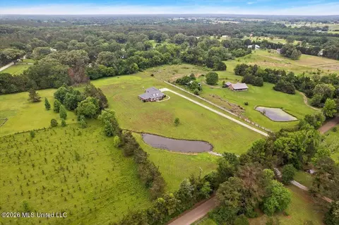 View/Area - 136 Mccullough Ln, Flora, MS 39071 photo 2 of 11