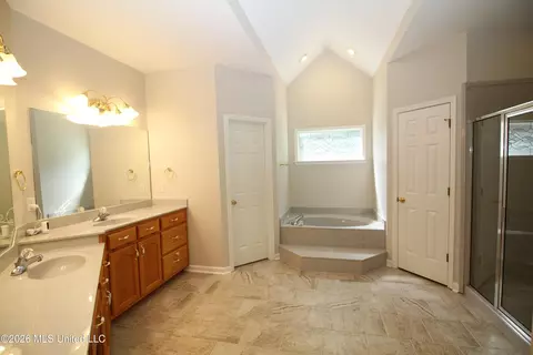 Bath - 3542 Rhett Butler Dr, Hernando, MS 38632 photo 3 of 6