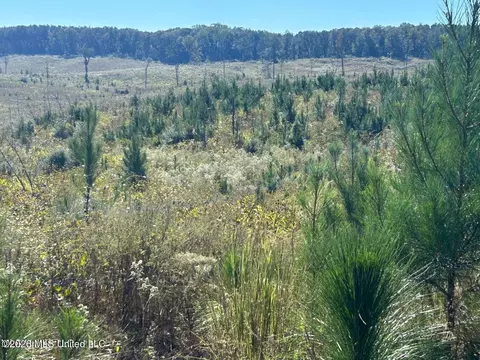 80 Ac Skyline Rd, Meridian, MS 39301