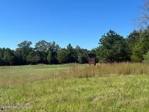 72 Ac Skyline Rd, Meridian, MS 39301