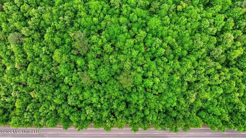 Shell Oil Road, Brandon, MS 39042 photo 9