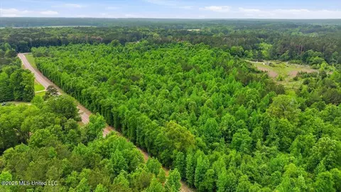 Shell Oil Road, Brandon, MS 39042 photo 19