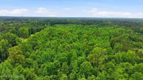 Shell Oil Road, Brandon, MS 39042 photo 7