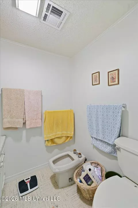 Bath - 26 N 2nd St, Pickens, MS 39146 photo 4 of 10