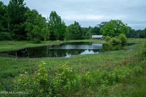 3160 Louis Wilson Dr, Brandon, MS 39042 photo 18