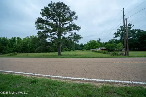 3160 Louis Wilson Dr, Brandon, MS 39042 photo 12