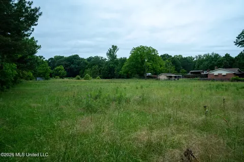 3160 Louis Wilson Dr, Brandon, MS 39042 photo 13