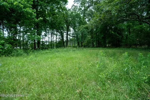 3160 Louis Wilson Dr, Brandon, MS 39042 photo 19