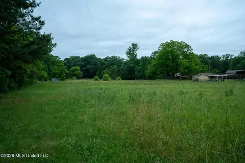 3160 Louis Wilson Dr, Brandon, MS 39042 photo 14