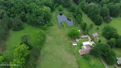 3160 Louis Wilson Dr, Brandon, MS 39042 photo 3