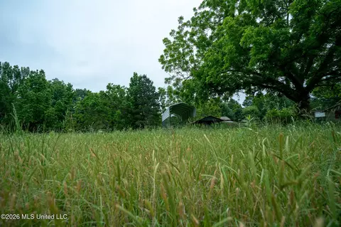 3160 Louis Wilson Dr, Brandon, MS 39042 photo 16