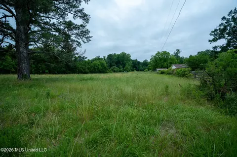 3160 Louis Wilson Dr, Brandon, MS 39042 photo 10