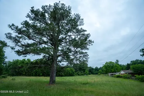 3160 Louis Wilson Dr, Brandon, MS 39042 photo 11