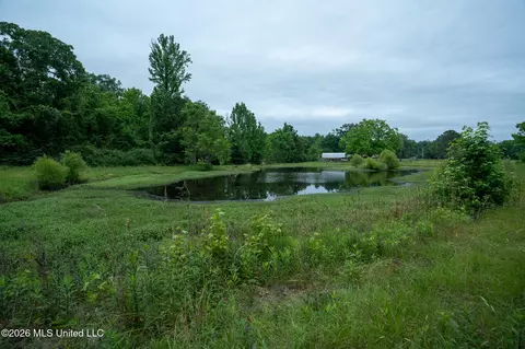 3160 Louis Wilson Dr, Brandon, MS 39042 photo 17