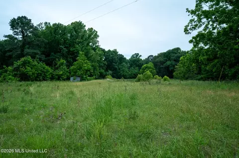 3160 Louis Wilson Dr, Brandon, MS 39042 photo 15