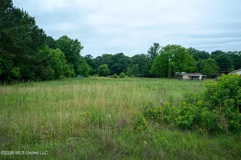 3160 Louis Wilson Dr, Brandon, MS 39042 photo 8