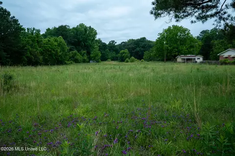 3160 Louis Wilson Dr, Brandon, MS 39042 photo 9