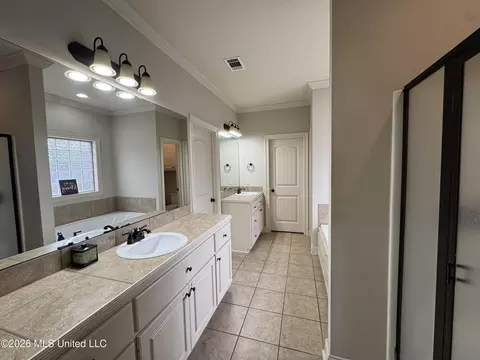 Bath - 110 Copper Ridge Ct, Madison, MS 39110 photo 1 of 3