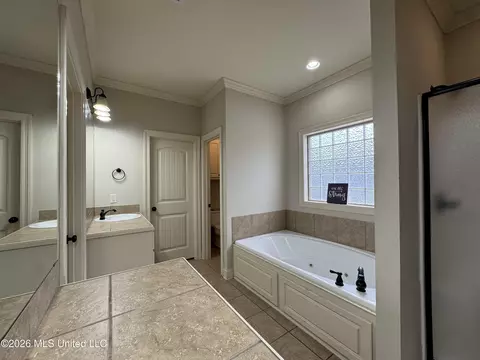 Bath - 110 Copper Ridge Ct, Madison, MS 39110 photo 2 of 3