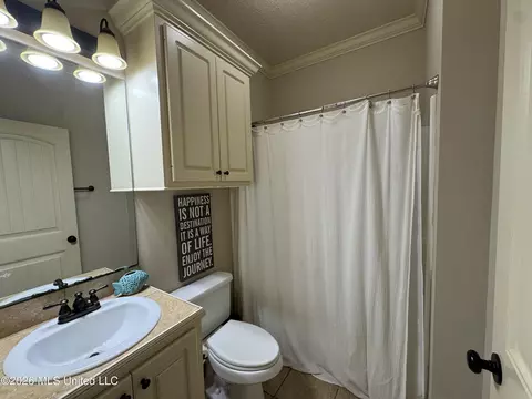 Bath - 110 Copper Ridge Ct, Madison, MS 39110 photo 3 of 3
