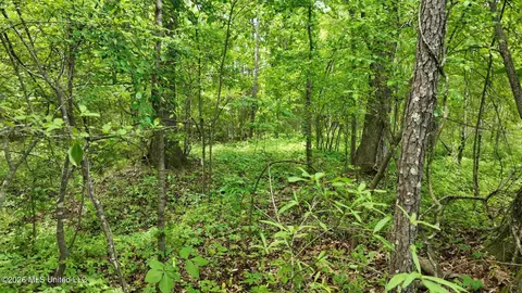 0 Snake Creek Rd, Raymond, MS 39154 photo 3
