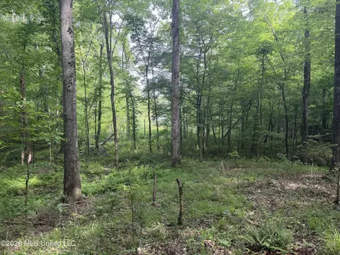 Evergreen Drive, Brandon, MS 39042 photo 7